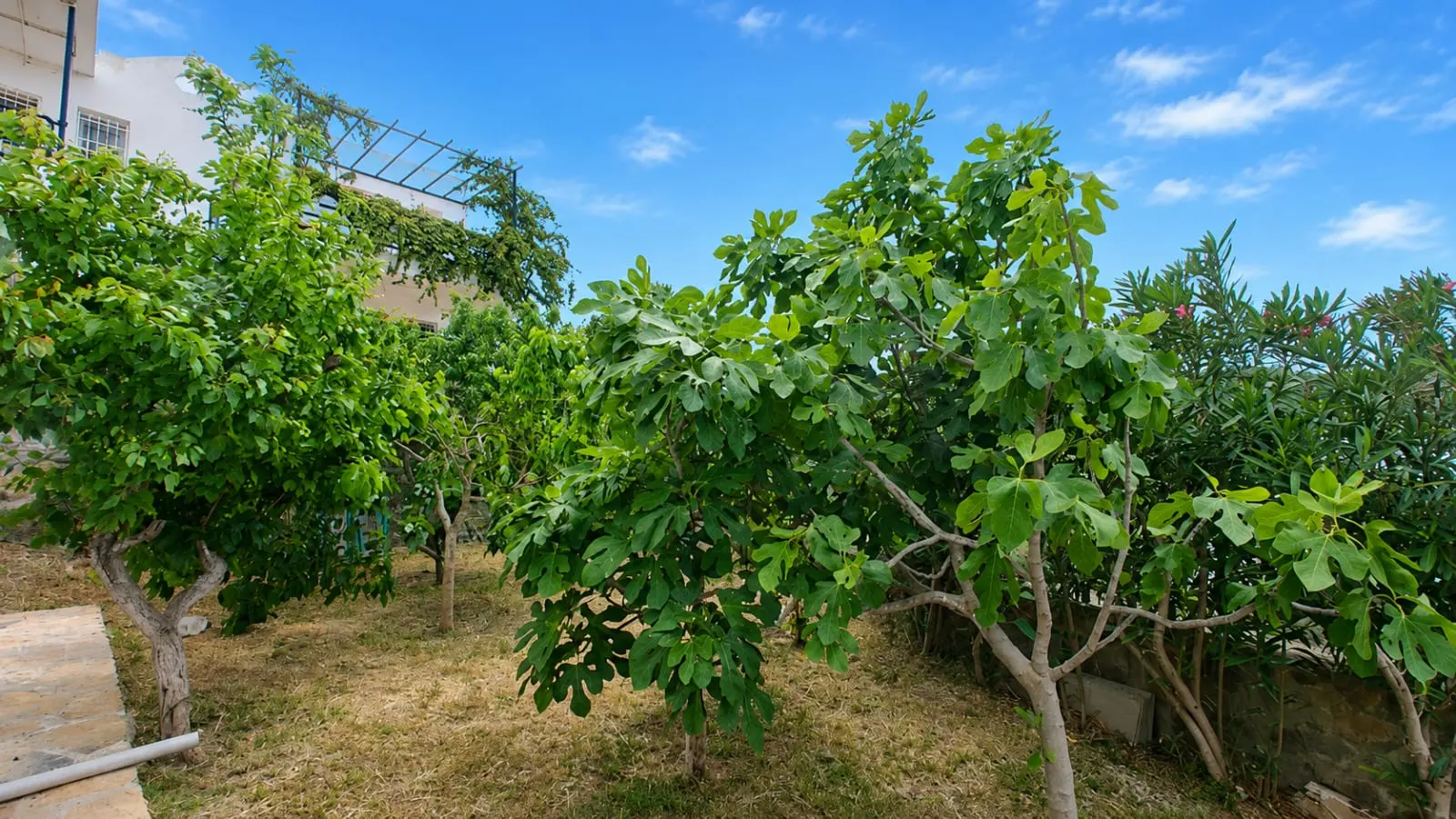 Flat in Yalikavak